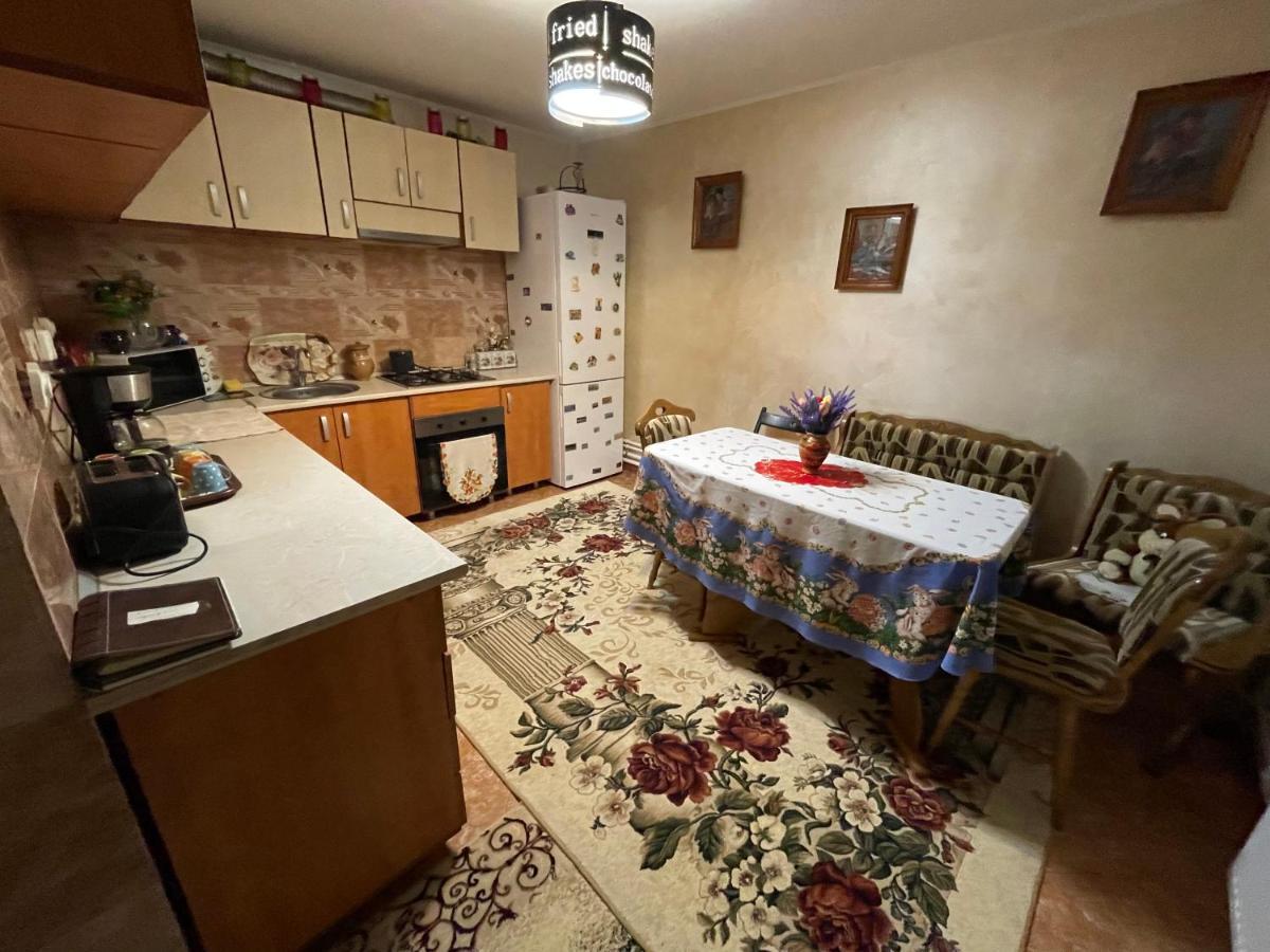 Pensjonat Casa Cu Pitici Vama  Zewnętrze zdjęcie