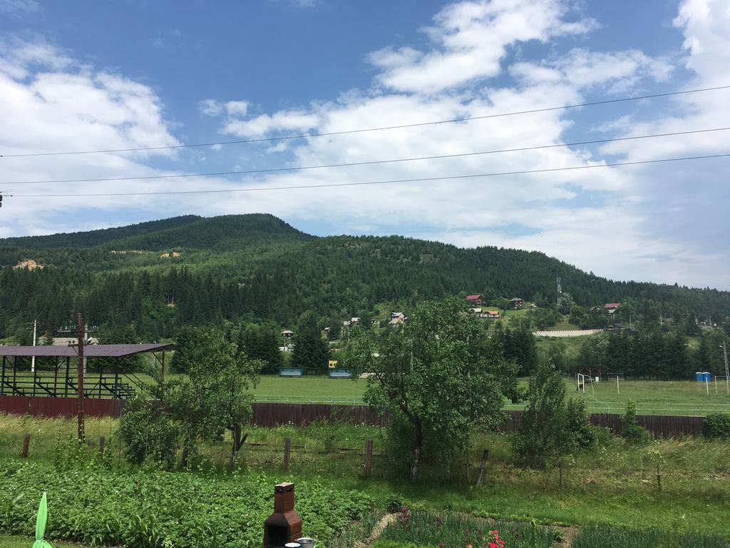 Pensjonat Casa Cu Pitici Vama  Zewnętrze zdjęcie