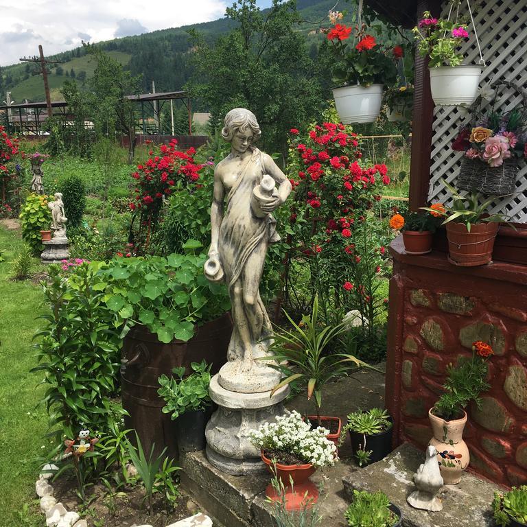 Pensjonat Casa Cu Pitici Vama  Zewnętrze zdjęcie